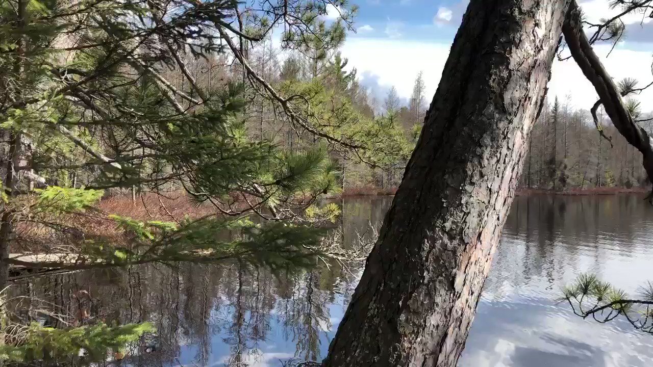 Coldwell Banker Mulleady, Inc. REALTORS (CBMulleadyRealt) / Twitter