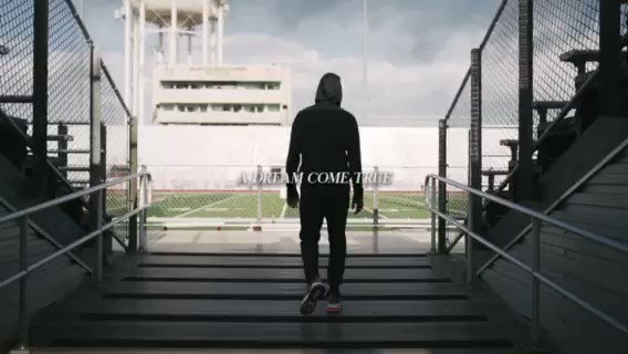 Embedded video