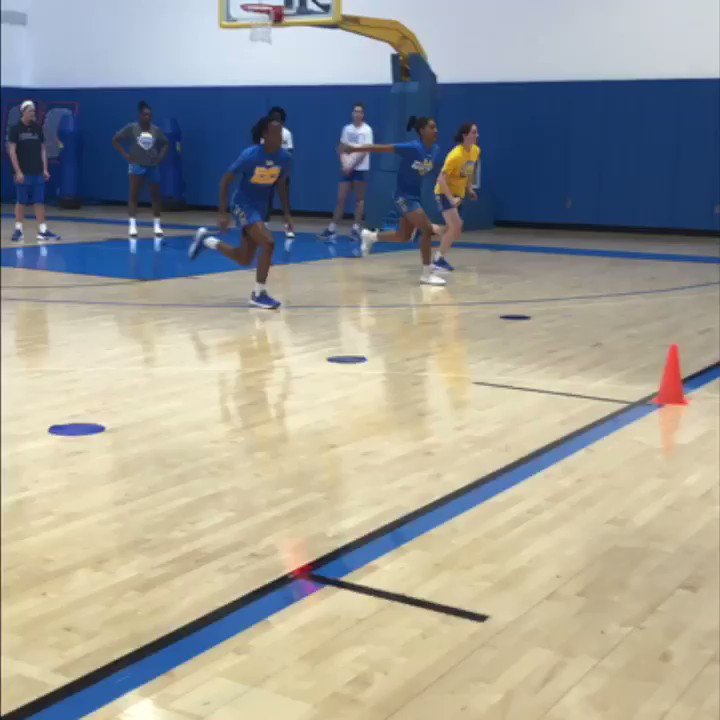 以前、アメリカの別大学で、下肢への負担がかかるという理由で、ハーキーステップを導入していない学校がああったような気もする。興味深いです！（エビデンスを示せない脆弱） 