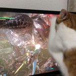「こいつめこいつめ」テレビゲームのモンスターを倒すのを手伝う猫が即戦力