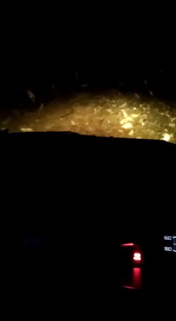 Asad (@asadisbored) on Twitter photo 2020-05-12 17:31:22 Driving from Sibi towards Sindh through a swarm of locusts #nightmare (via WhatsApp) Driving from Sibi towards Sindh through a swarm of locusts #nightmare (via WhatsApp)