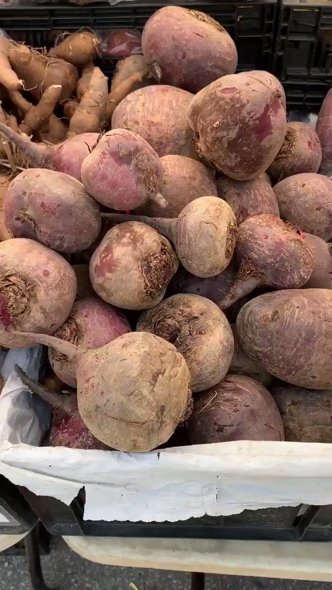 赤紫 黄 ピンク 白のビーツ ビートルート 4種類を食べ比べて分かった味の違い 野菜ソムリエ Hiro のベジフルポケット