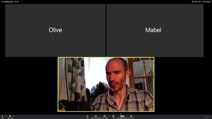 Embedded video