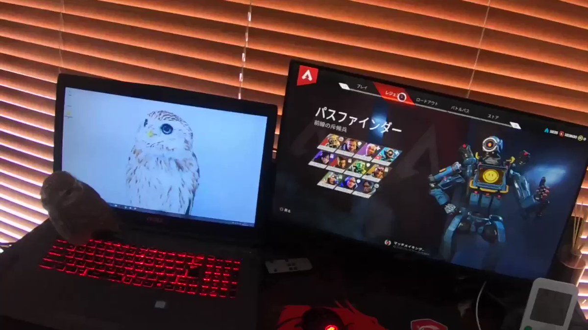 パス弱体化に嘆くシャノパパとガスおじ強化に喜ぶ私ヽ(´▽`)ノ
APEXはPS4で遊んでいます。
シャノンは特等席からたまに画面を覗いて暇になったらアヒル寝💤
(逆光でシャノン見づらくてすみません💦 https://t.co/c8weDx13qu