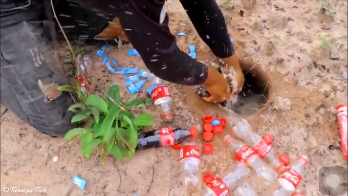 メントスコーラ 魚 メントスコーラ 魚