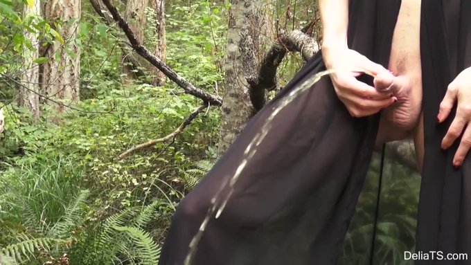I sold another #clip! Delia Pees in the Woods https://t.co/PPmszbWuUn #OUTDOORS via @Clips4Sale https://t<a href="/tag/clip"class="tags">#clip</a><a href="/tag/outdoors"class="tags"><span>#outdoors</span></a>