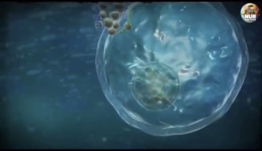 Video Poster