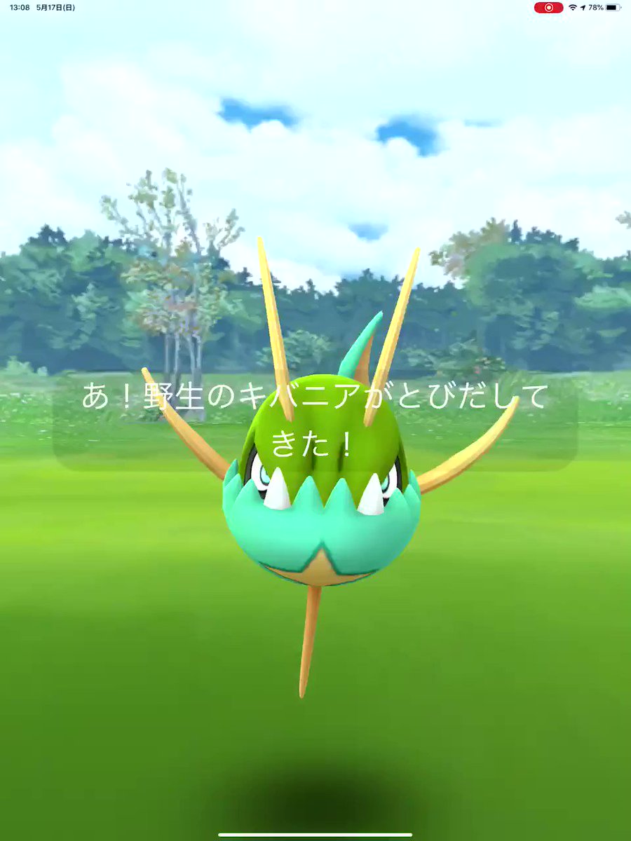 キバニア Twitter Search Twitter キバニア Twitter Search Twitter