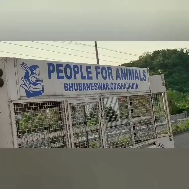 People For Animals India on Twitter: 