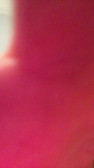 Lauren Snowden’s pics and videos