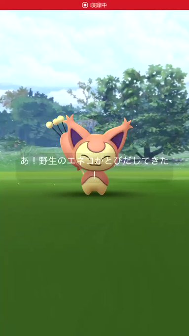 レックウザ の評価や評判 感想など みんなの反応を1時間ごとにまとめて紹介 ついラン