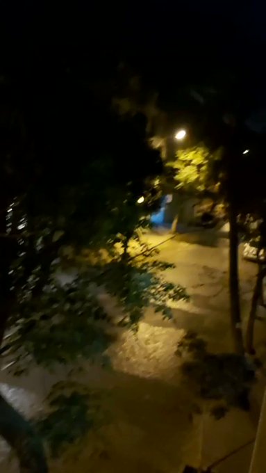 Embedded video