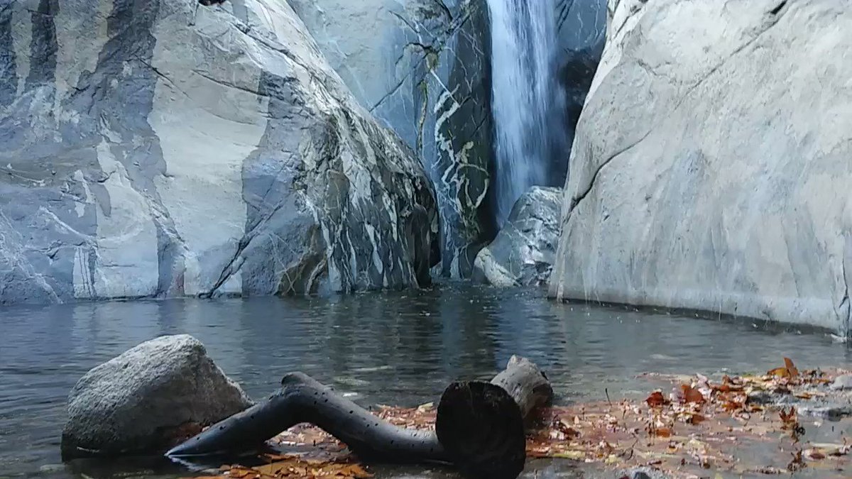 Fit⭐️Life⭐️Travel (@FitLifeTravel) on Twitter photo 2020-05-21 00:29:07 Finding a 60 foot waterfall in the middle of the desert in Palm Springs, California is like finding gold in the hills! What a treat to find this. #Waterfalls #WednesdayVibes #waterfallwednesday #hiking Finding a 60 foot waterfall in the middle of the desert in Palm Springs, California is like finding gold in the hills! What a treat to find this. #Waterfalls #WednesdayVibes #waterfallwednesday #hiking