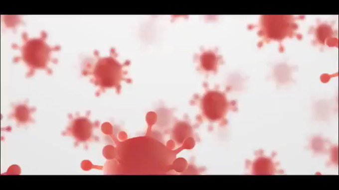 Embedded video