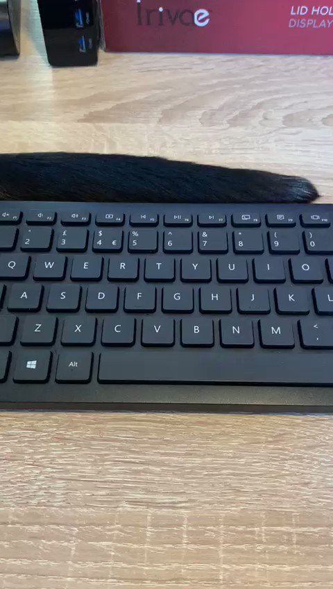 Rolf the Warwick University campus cat (@RolfatWarwick) on Twitter photo 2020-05-22 05:49:29 Rolf’s lockdown diary 22 May: I have a very long tail, nearly as long as a computer keyboard. I enjoy sitting with my American human on his desk. He says it creates “tail risk”. That’s actually a term from economics. My English human has had to Google what it means again. Rolf x Rolf’s lockdown diary 22 May: I have a very long tail, nearly as long as a computer keyboard. I enjoy sitting with my American human on his desk. He says it creates “tail risk”. That’s actually a term from economics. My English human has had to Google what it means again. Rolf x