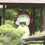 ３ヶ月ぶりに彦根城にひこにゃん登場!離れていても可愛いくて癒される～!