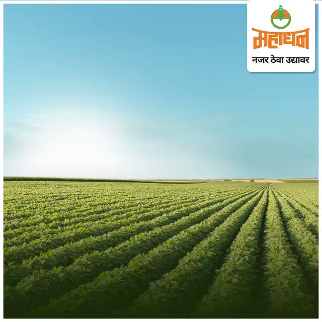 तीन विशेष गुणांनी भरपूर खत, जे सोयाबीनच्या उत्पादनासाठी महत्त्वाचे आहे, लवकरच येत आहे|
पुढील माहितीसाठी आमच्या येणाऱ्या पोस्ट ची वाट पहा.
#DFPCL #Soyabean #Fertilizer #ThreeSpecialQualities #Farming #AgricultureLife #STAYTUNED https://t.co/vOeTKHspkF