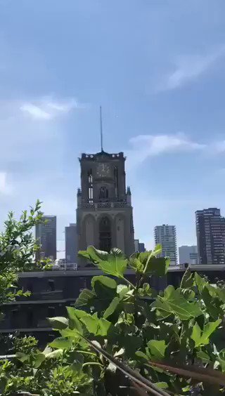 Burası Hollanda,
Rotterdam şehrindeki Laurenskerk kilisesi, çanlarıyla Aşık Veysel'den "uzun ince bir yoldayım" türküsünü çalıyor...
https://t.co/v5mEXwJs2W