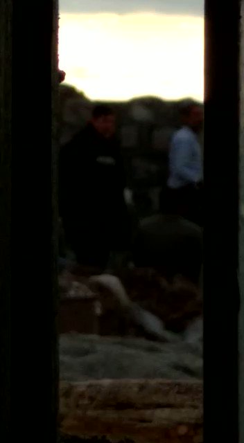 Yerleştirilmiş video