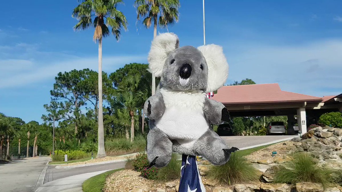 VERY PROUD ... To be @StLucieTrail #StLucieTrail #golf #SouthFlorida @VisitStLucie on #memorialdayweekend2020
And reminded 🇦🇺 #anzacday2020 👍👏 https://t.co/ZhvgH310DO