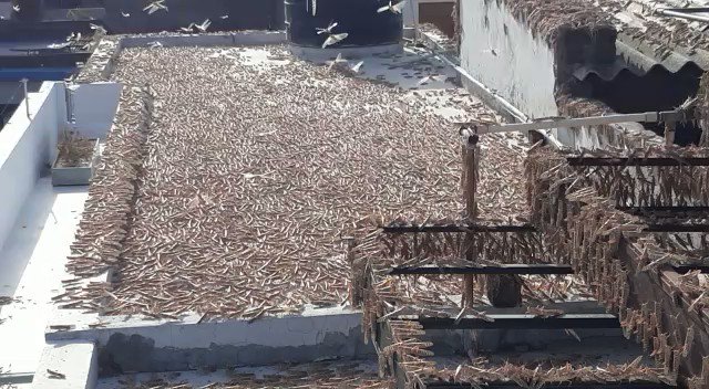 Ενσωματωμένο βίντεο
