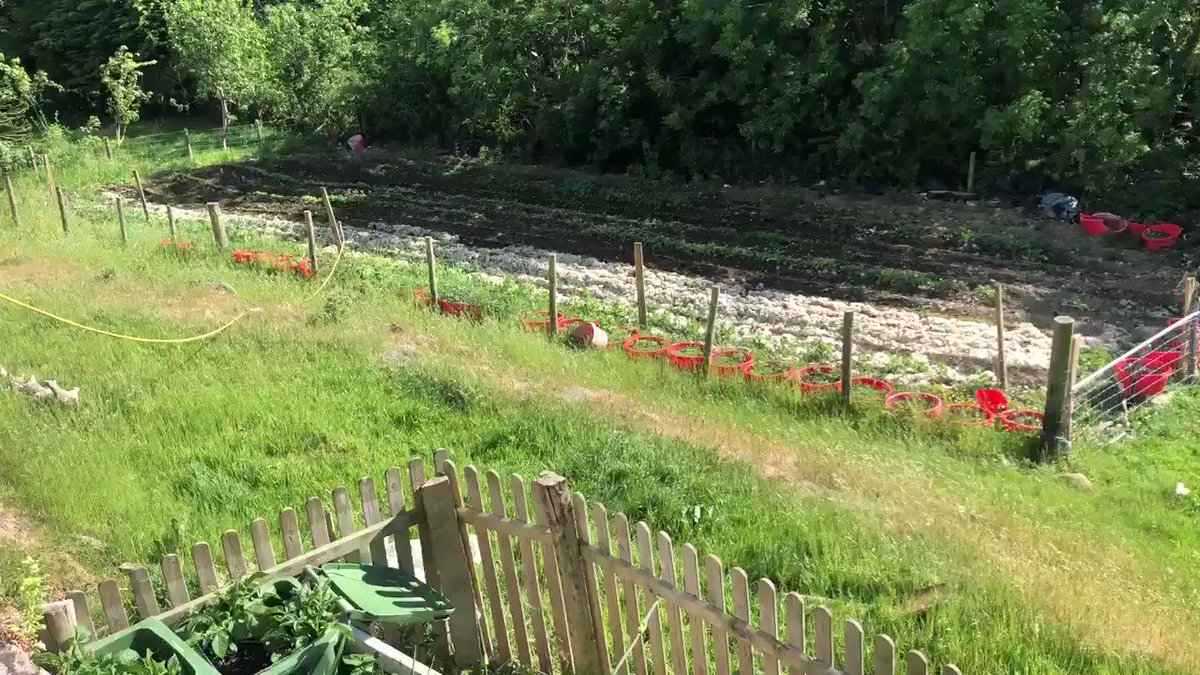 Feeling lucky to live up here and to have a way of life that I really enjoy . #livingthedream in #lockdown the London lifestyle is so far away from reality.pic.twitter.com/dMKxjoH1JN