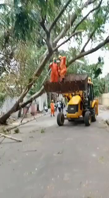NDRF KOLKATA (@2_ndrf) on Twitter photo 2020-05-26 16:56:56 #PostAmphanRestoration Work By # 2 BN NDRF# at Baligaunje Park road, CIT Road, Baguihati stn road, #KOLKATA KMC AREA #KolkataMunicipalCorporation #WestBengal @ndmaindia @NDRFHQ @satyaprad1 @PIBKolkata @ZeeBanglaTv @DDNational @DDBanglaNews @News18Bengali @airnews_kolkata #PostAmphanRestoration Work By # 2 BN NDRF# at Baligaunje Park road, CIT Road, Baguihati stn road, #KOLKATA KMC AREA #KolkataMunicipalCorporation #WestBengal @ndmaindia @NDRFHQ @satyaprad1 @PIBKolkata @ZeeBanglaTv @DDNational @DDBanglaNews @News18Bengali @airnews_kolkata