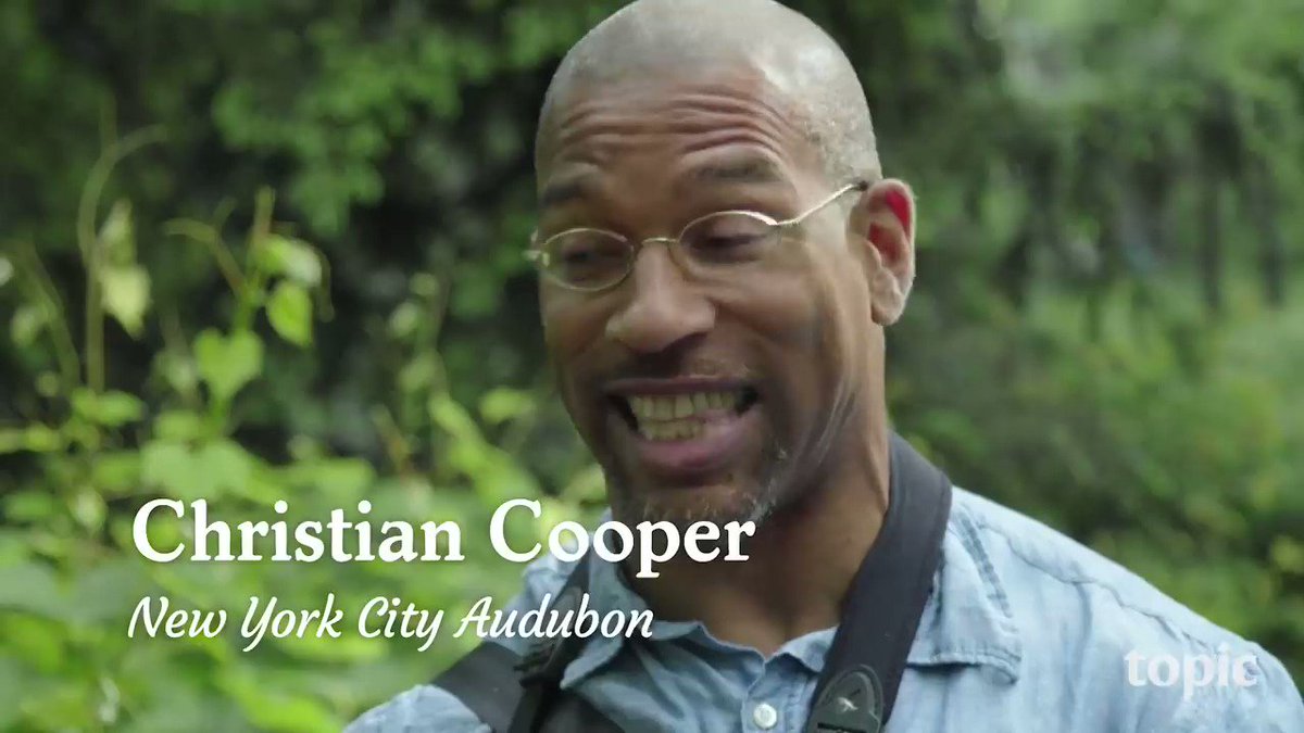 This is Christian Cooper. https://t.co/gOQyVztX5h