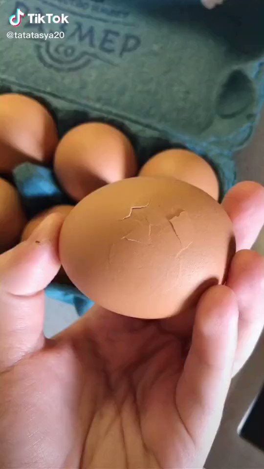 「食べようか食べないか」卵からヒナが還る生命の誕生の瞬間かと思いきや結末に吹いた