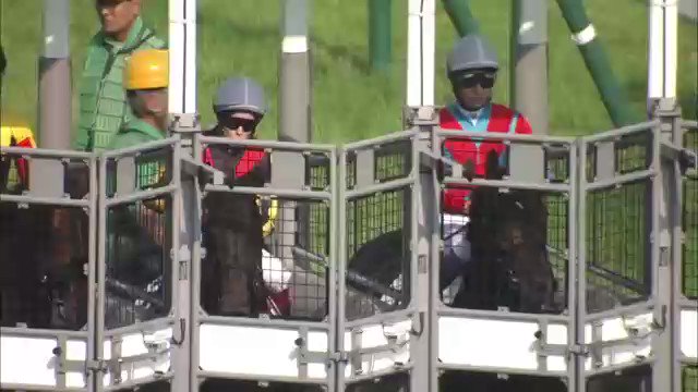 トリ息子 これは迷実況の１つ 1 50頃の実況 真ん中に 犬がっ Goal後 キズナカッター はアオシマバクシンオーには距離が長すぎると言われる所以