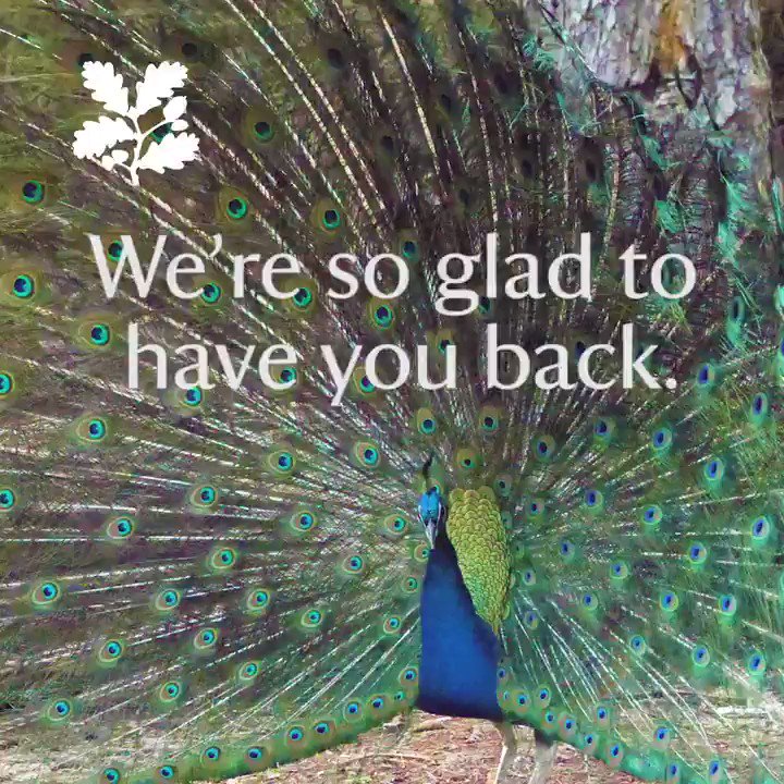 National Trust To Phase Reopening Of Gardens And Parklands In Northern Ireland With Advance Booking Needed To Limit Numbers And Maintain Public Safety Lovebelfast