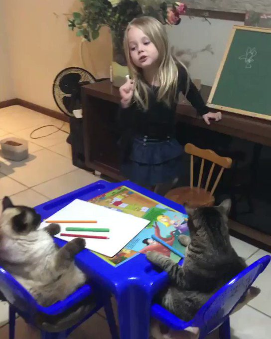 Lumiereのツイート