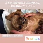 柴田理恵 X 晴太郎 がトレンドに Funnitter ファニッター 柴田理恵 X 晴太郎 がトレンドに Funnitter ファニッター