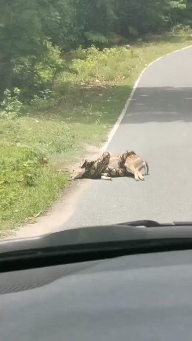 Ενσωματωμένο βίντεο