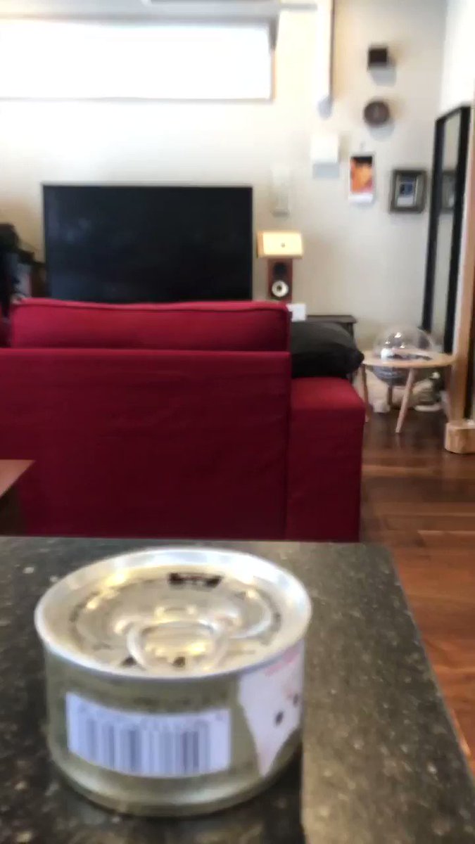 パッカンの音に反応して颯爽と駆け寄る飼い猫に可愛さに5千人が共感