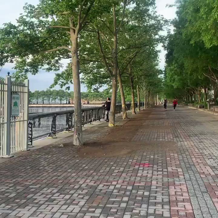 Chief Ken Ferrante (@KenFerrante) on Twitter photo 2020-05-30 12:06:02 Rise & ride = easy social distancing & a gorgeous sunrise ☀️🚲☀️ #Hoboken #SaturdayVibes #SaturdayMorning @CityofHoboken @KenFerrante @RaviBhalla Rise & ride = easy social distancing & a gorgeous sunrise ☀️🚲☀️ #Hoboken #SaturdayVibes #SaturdayMorning @CityofHoboken @KenFerrante @RaviBhalla