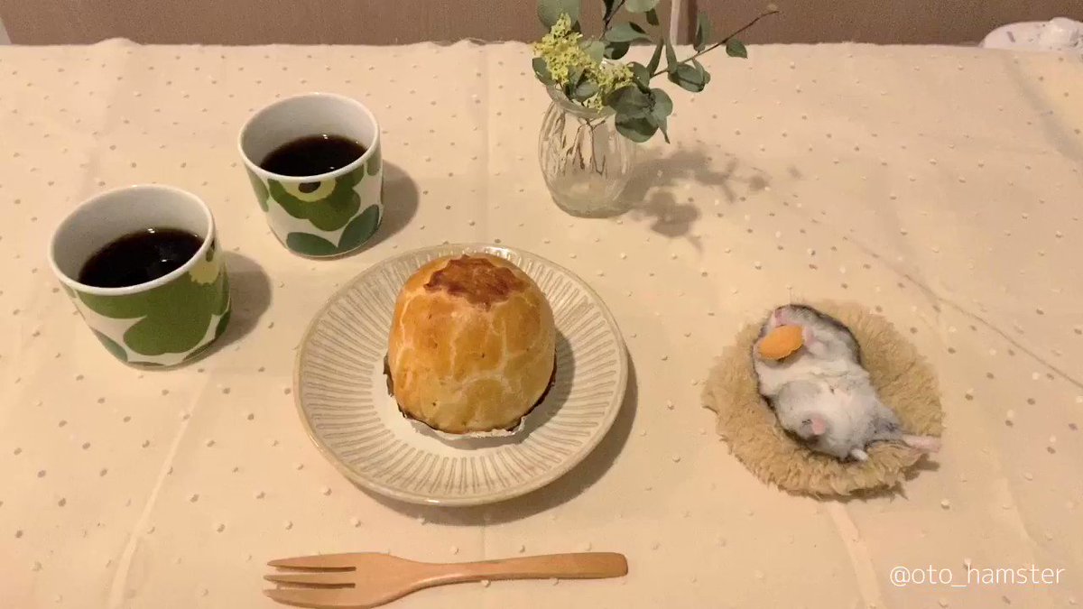 どこでもくつろぐ
無防備の極みハムスター
#ハムスター https://t.co/wlN8burW40