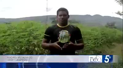 Video insertado