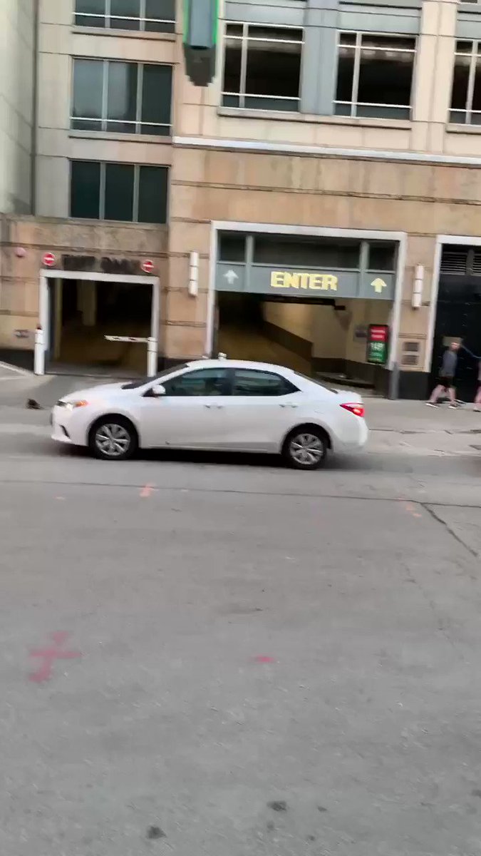 CHICAGO FOLK TOOK THE POLICES HORSES LMAOOOOOOO https://t.co/HM1nwtYitG