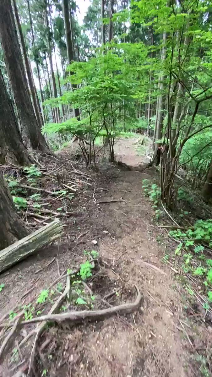 登山の予定があるなら観ておきたい･･･！山道を見失ってしまう理由が分かる動画！