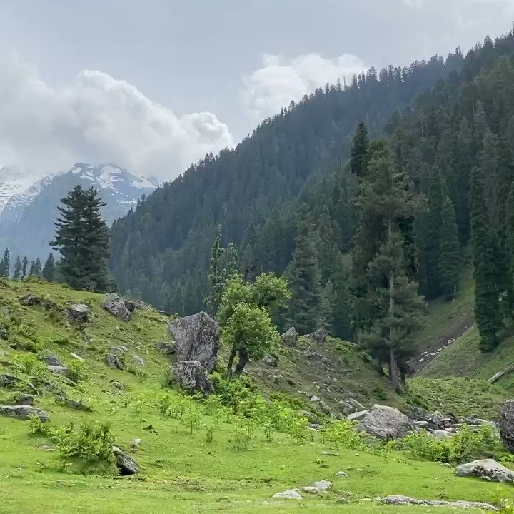 Nature at its best. Mesmerizing beauty. #aruvalley #southkashmir #nature #Kashmir #heavenonearth #himalayas https://t.co/qLoEZJ5EBs
