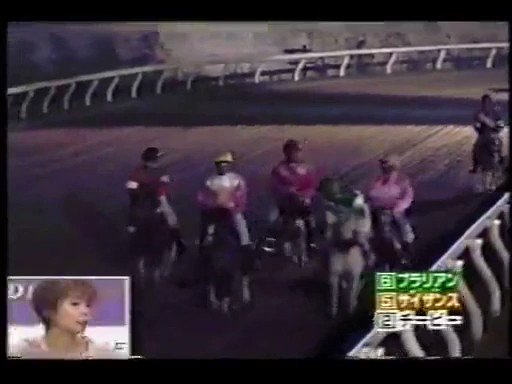 さんまのナンでもダービー Tagged Tweets And Downloader Twaku