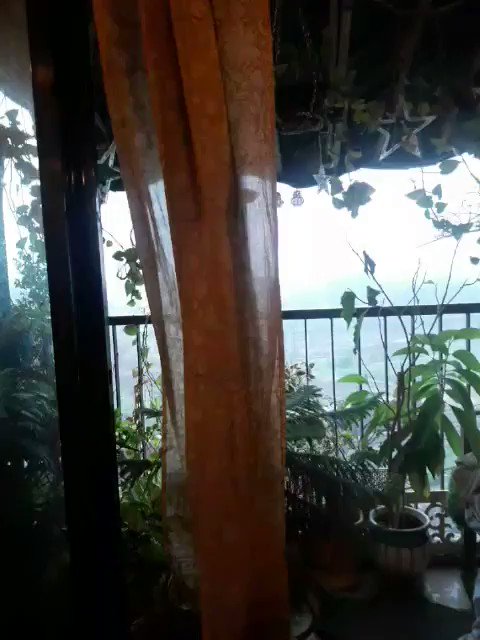 உட்பொதிக்கப்பட்ட வீடியோ