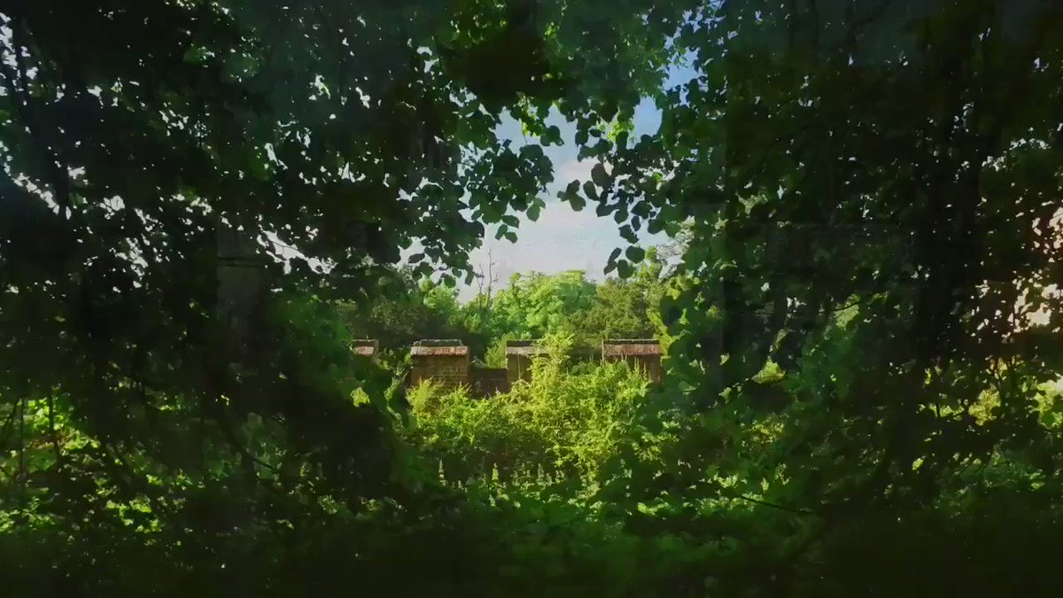 We are delighted to announce that the Park, Gardens & Woodland Walks will reopen for visitors from SATURDAY 20th JUNE.
To ensure everyone enjoys the tranquillity of the park whilst avoiding any crowds we are limiting the number of tickets sold for each day.
Tickets on sale now https://t.co/2UQrt827Fp