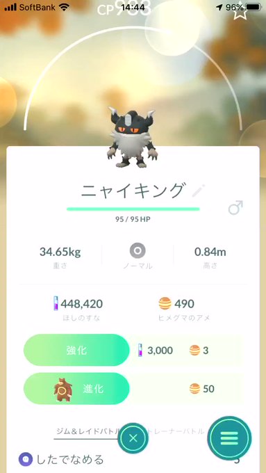 リングマ の評価や評判 感想など みんなの反応を1時間ごとにまとめて紹介 ついラン
