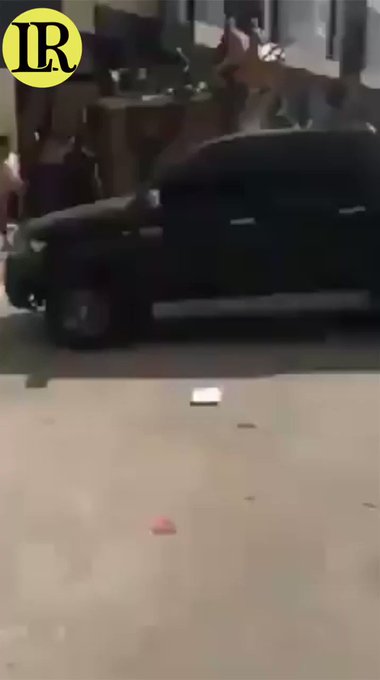 Ενσωματωμένο βίντεο