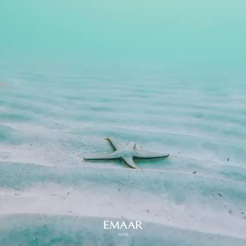 Let’s reconnect with nature and celebrate the World Environment Day together!
It’s time to protect our environment.
#Emaar https://t.co/D7zx2npTwE