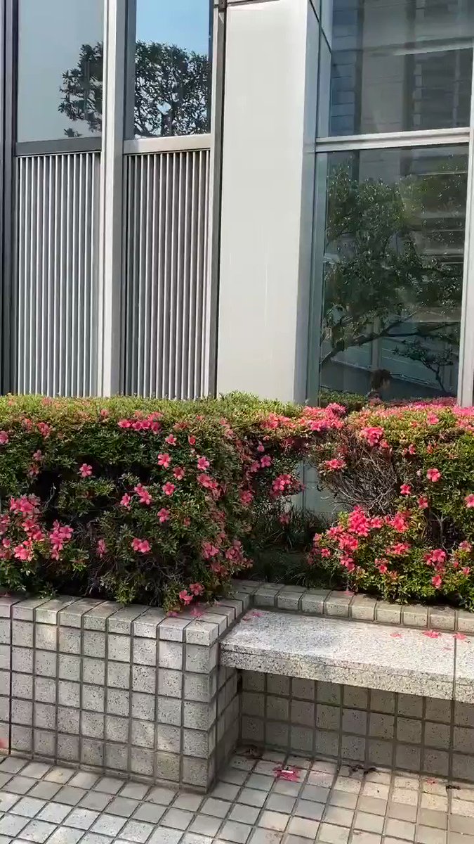 6月6日 土 谷尻萌 キャスターの 京都弁 天気予報 この週末のお天気ポイントは 萌ちゃんのインスタグラムもぜひチェックしてね めざましどようび めざましテレビ Scoopnest 6月6日 土 谷尻萌 キャスターの 京都弁 天気予報 この週末のお天気ポイントは 萌ちゃんのインスタグラムもぜひチェックしてね めざましどようび めざましテレビ Scoopnest