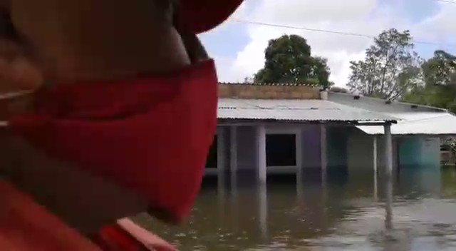 Video insertado