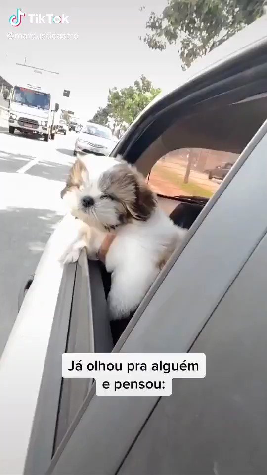 Já olhou para alguém e pensou o que se passa na cabeça dela? Se